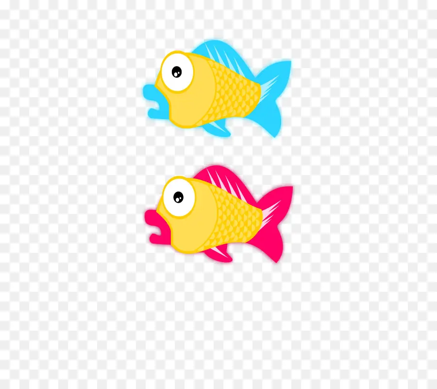 Poisson Coloré，Aquatique PNG