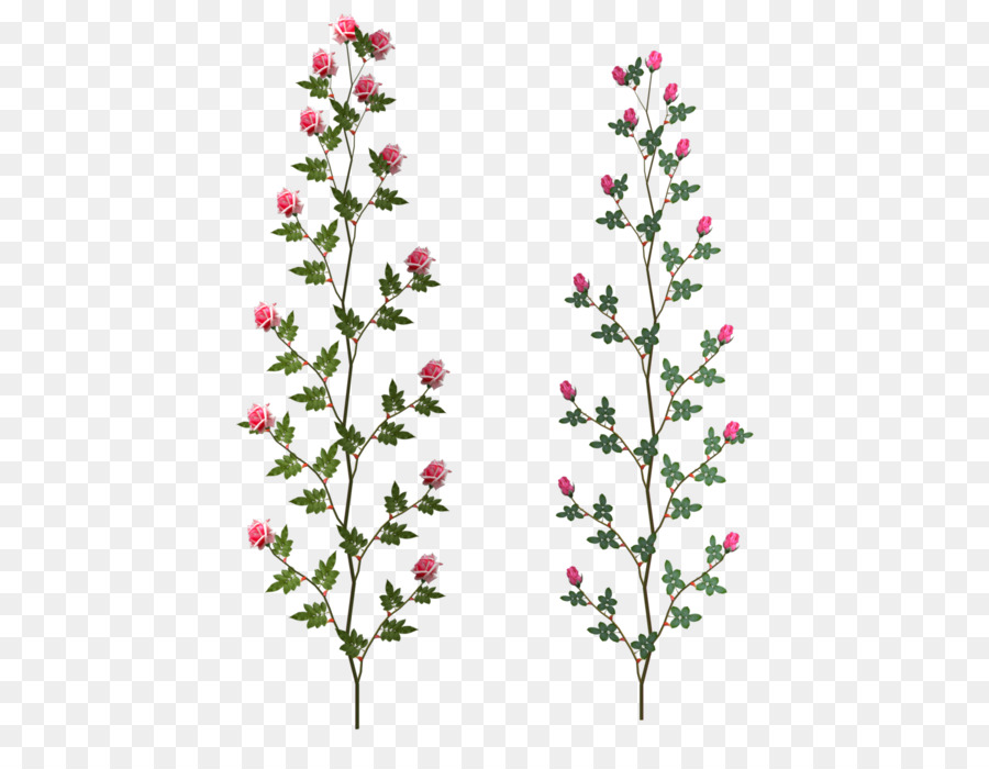 Les Fleurs Coupées，Fleur PNG