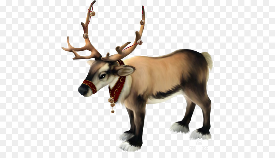 Rudolph，Le Père Noël PNG