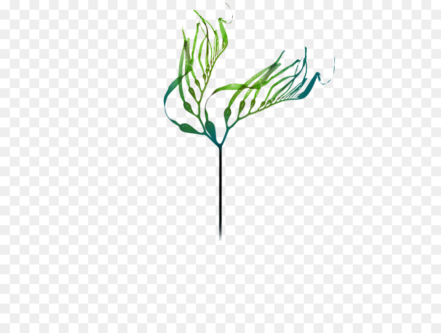 Feuille Verte，Nature PNG