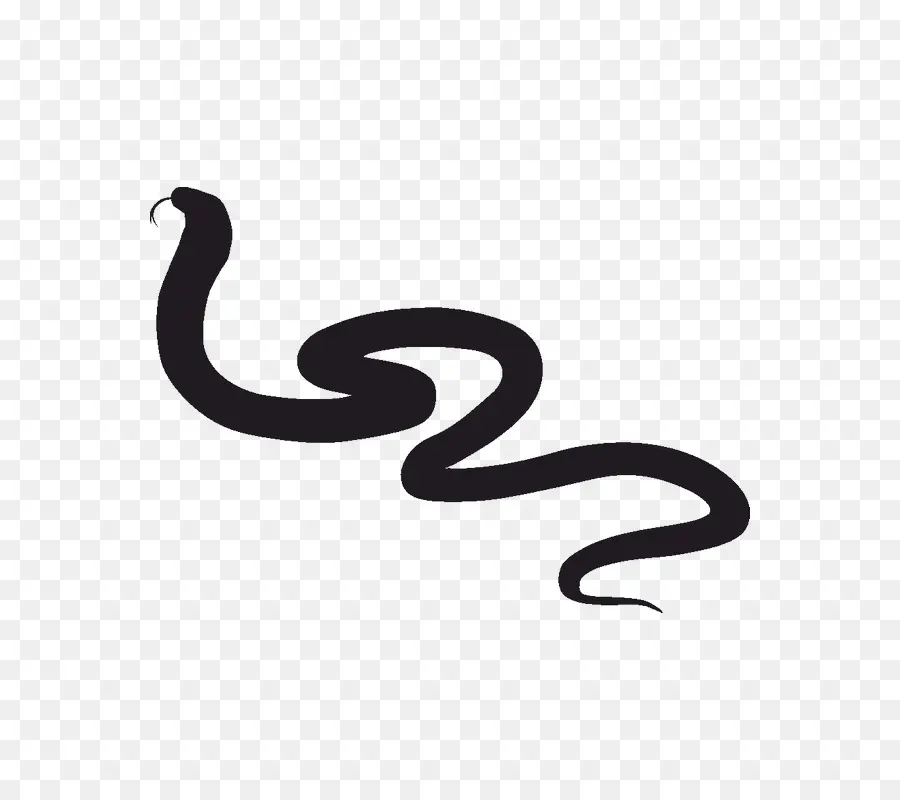 Serpent，Reptile PNG