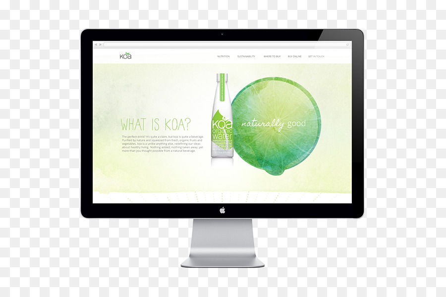 Microsite，Conception Web PNG