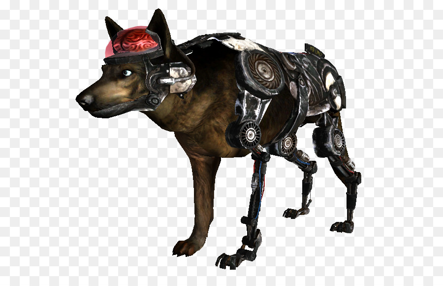 Chien Cyborg，Robot PNG