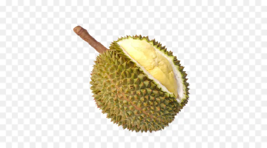 Durian，Épineux PNG