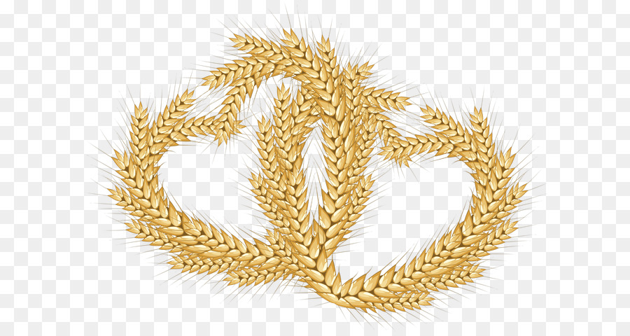 Blé，Grain PNG