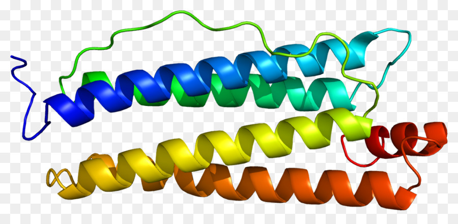 Hélice Protéique，Molécule PNG