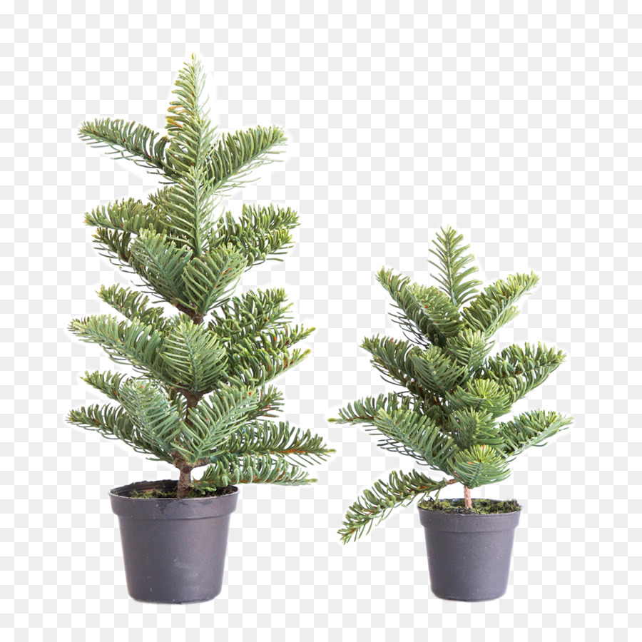 Plantes En Pot，Vert PNG