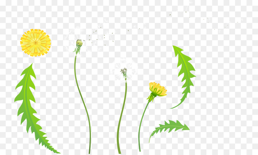 Fleurs，Jardin PNG