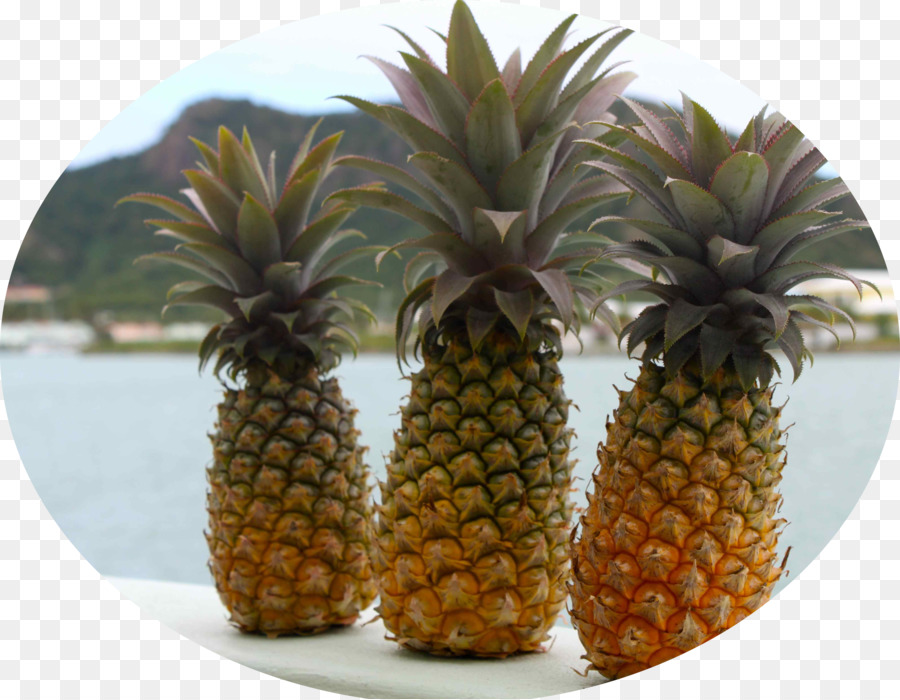 L Ananas，Vieux PNG