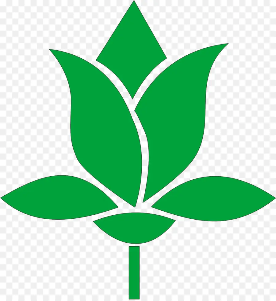 Fleur Verte，Feuille PNG