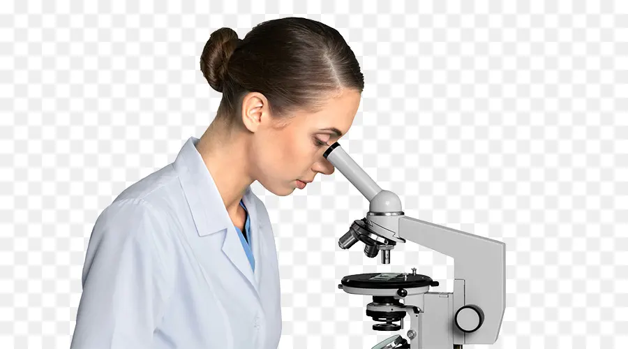 Microscope，Laboratoire PNG