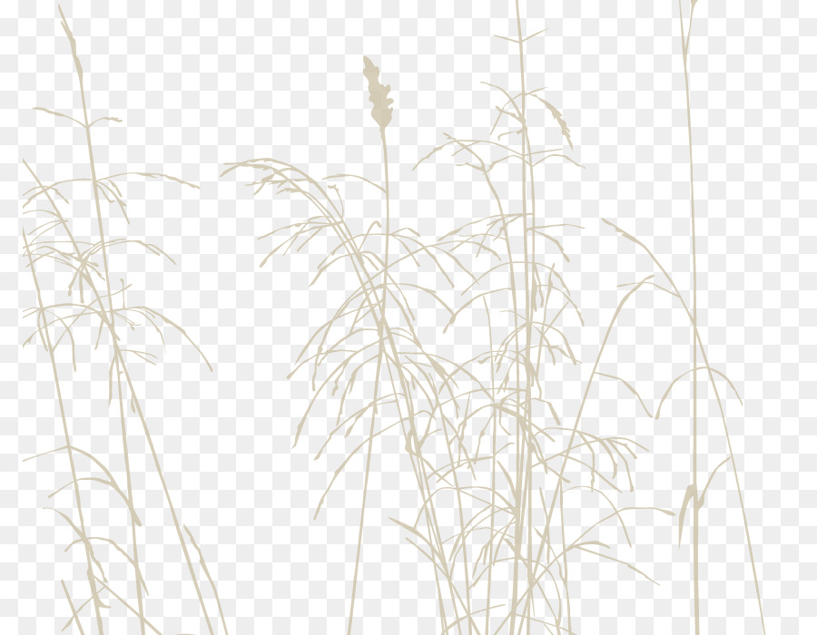 Brindille，Herbes PNG