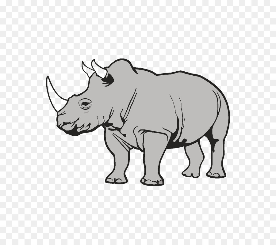 Rhinocéros，Corne PNG