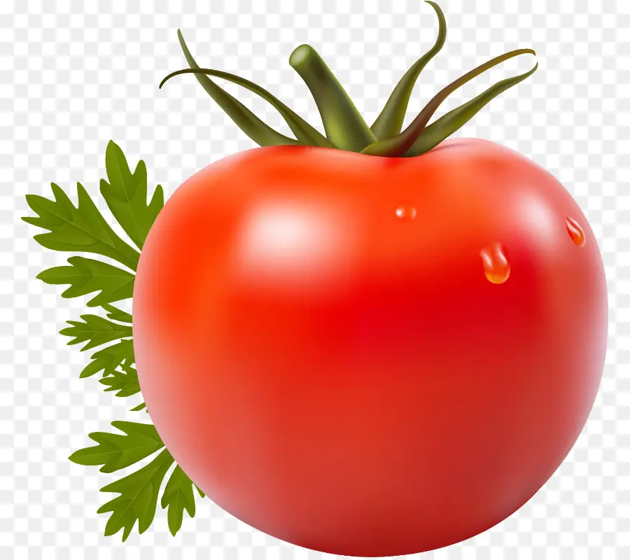 Le Jus De Tomate，La Tomate San Marzano PNG