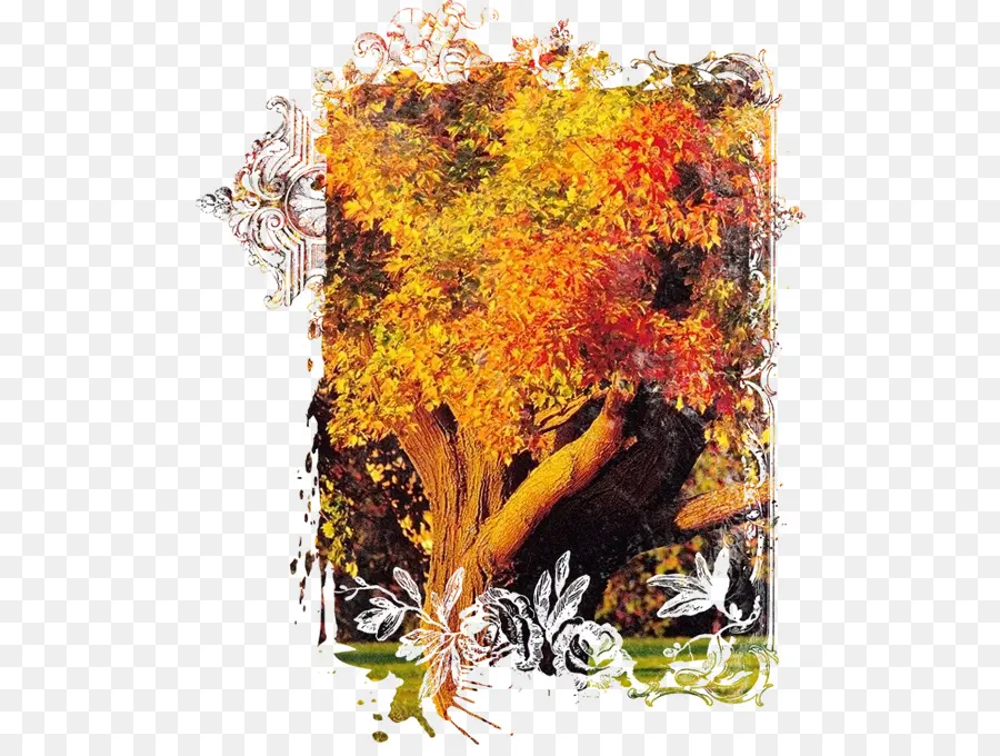 Arbre D'automne，Feuilles PNG