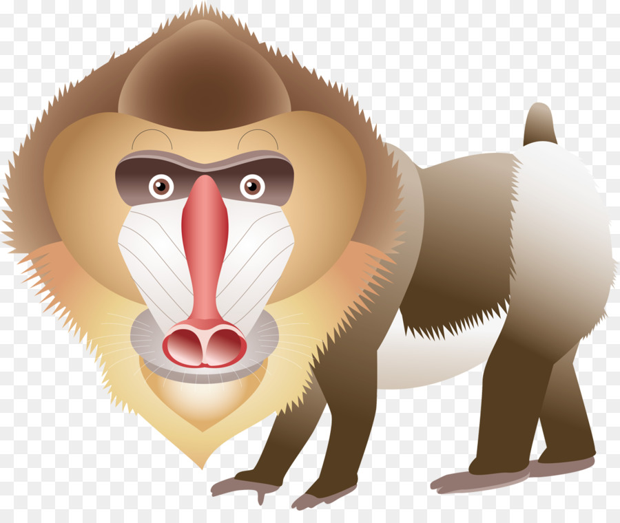 Cercopithecidae，Mandrill PNG