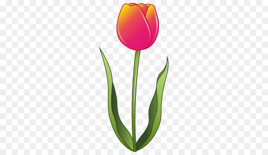 Tulipe，Usine PNG