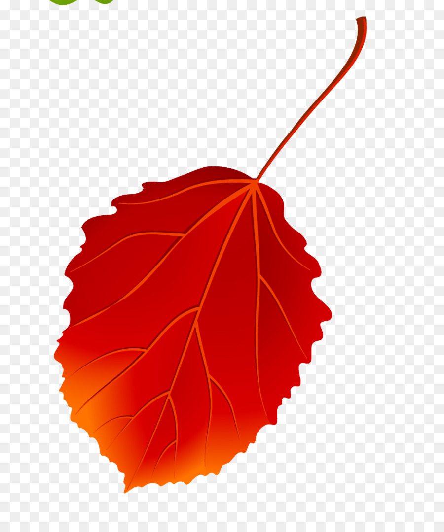 Européenne Aspen，Les Feuilles De L Automne PNG