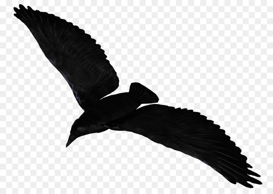 Le Grand Corbeau，Vol PNG