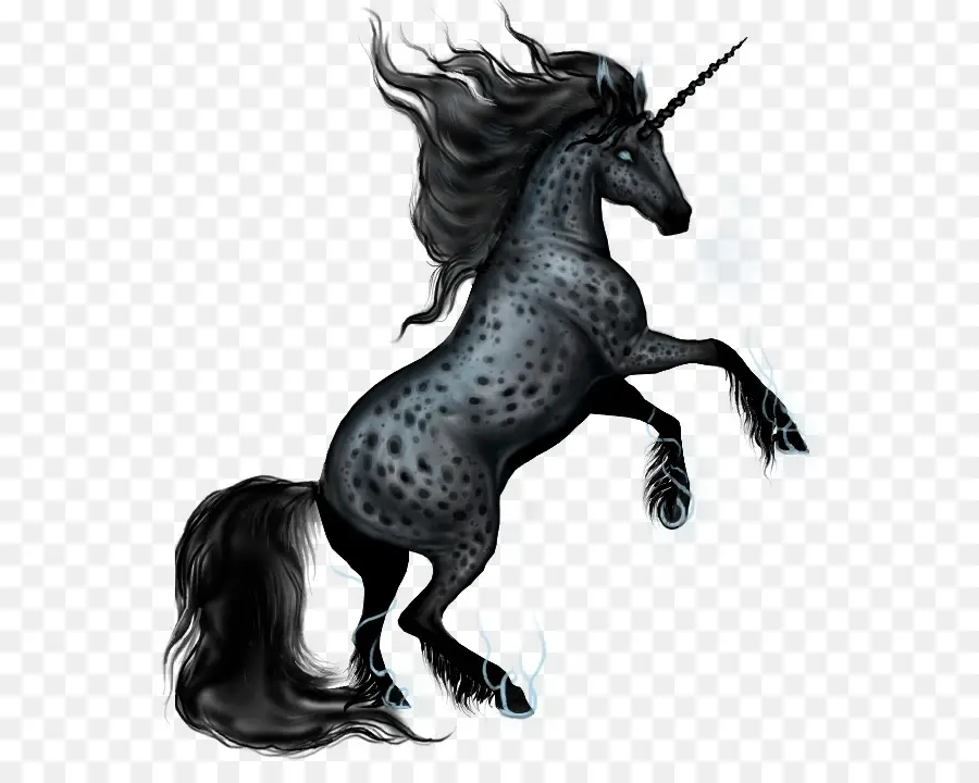 Licorne，Cheval PNG