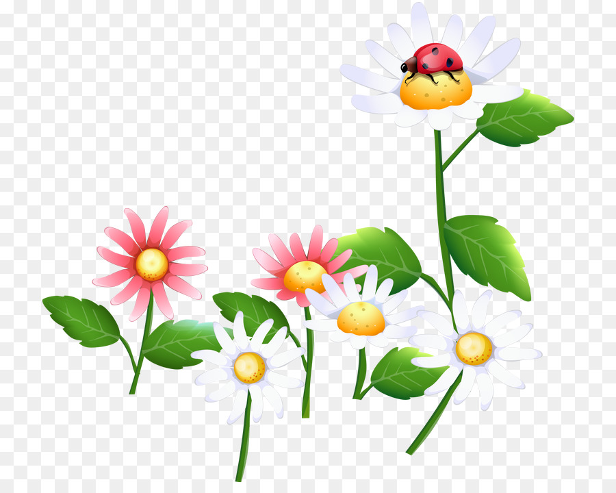 Fleurs，Fleurir PNG