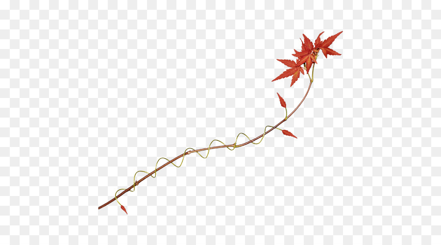 Feuille Rouge，Automne PNG