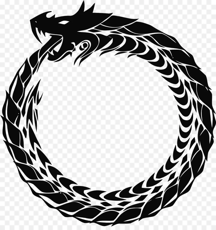 Ouroboros，Dragon PNG