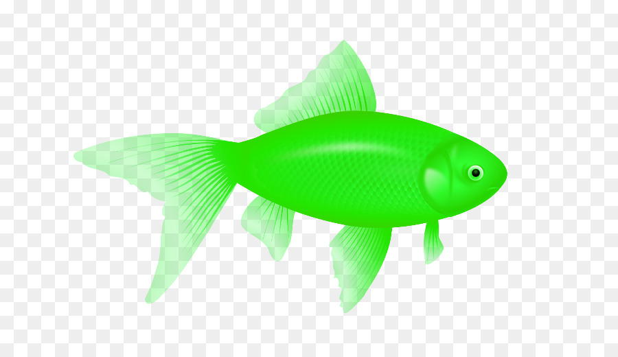 Poisson，Aquatique PNG