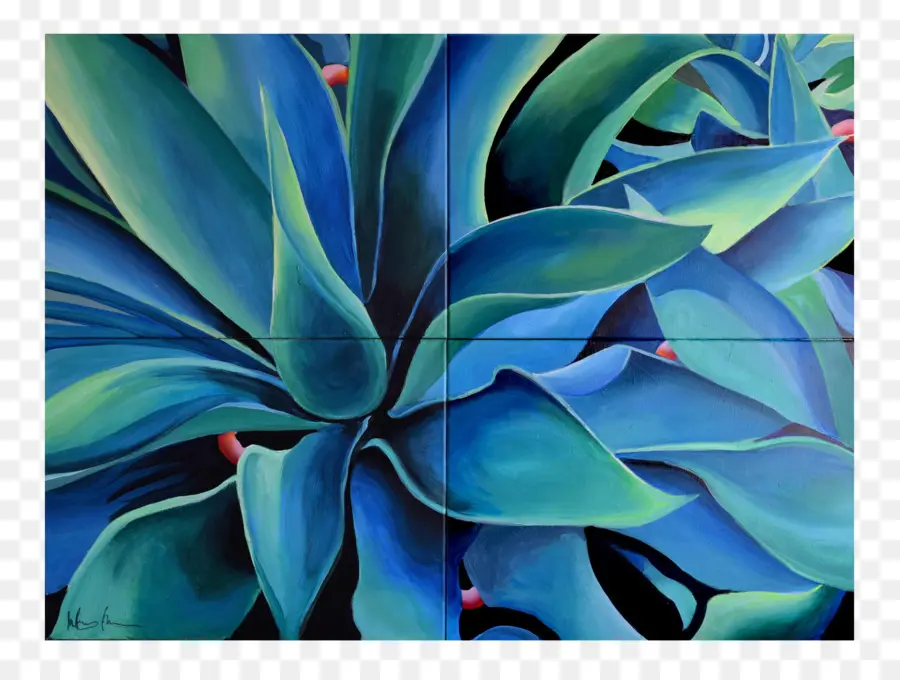 Agave Bleue，Succulent PNG