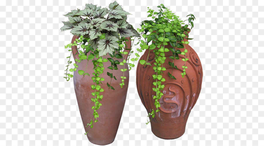 Plantes Dans Des Vases，Verdure PNG