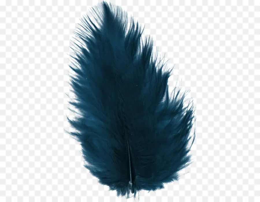 Plume，Bleu PNG