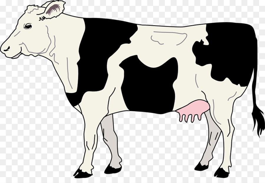 Vache De Dessin Animé，Vache PNG