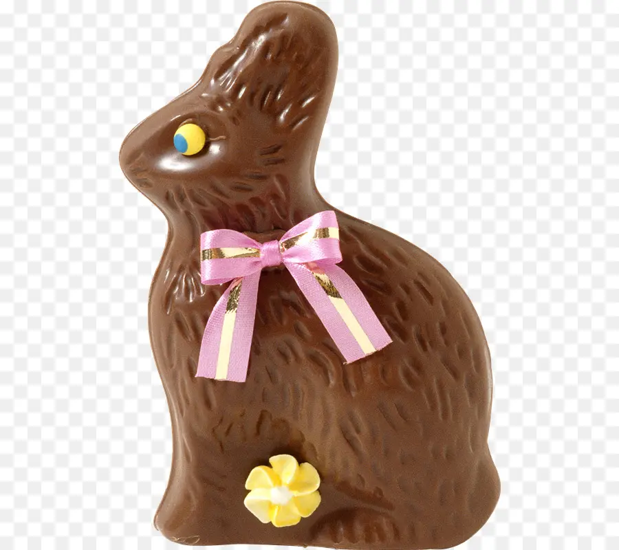 Lapin En Chocolat，Lapin PNG