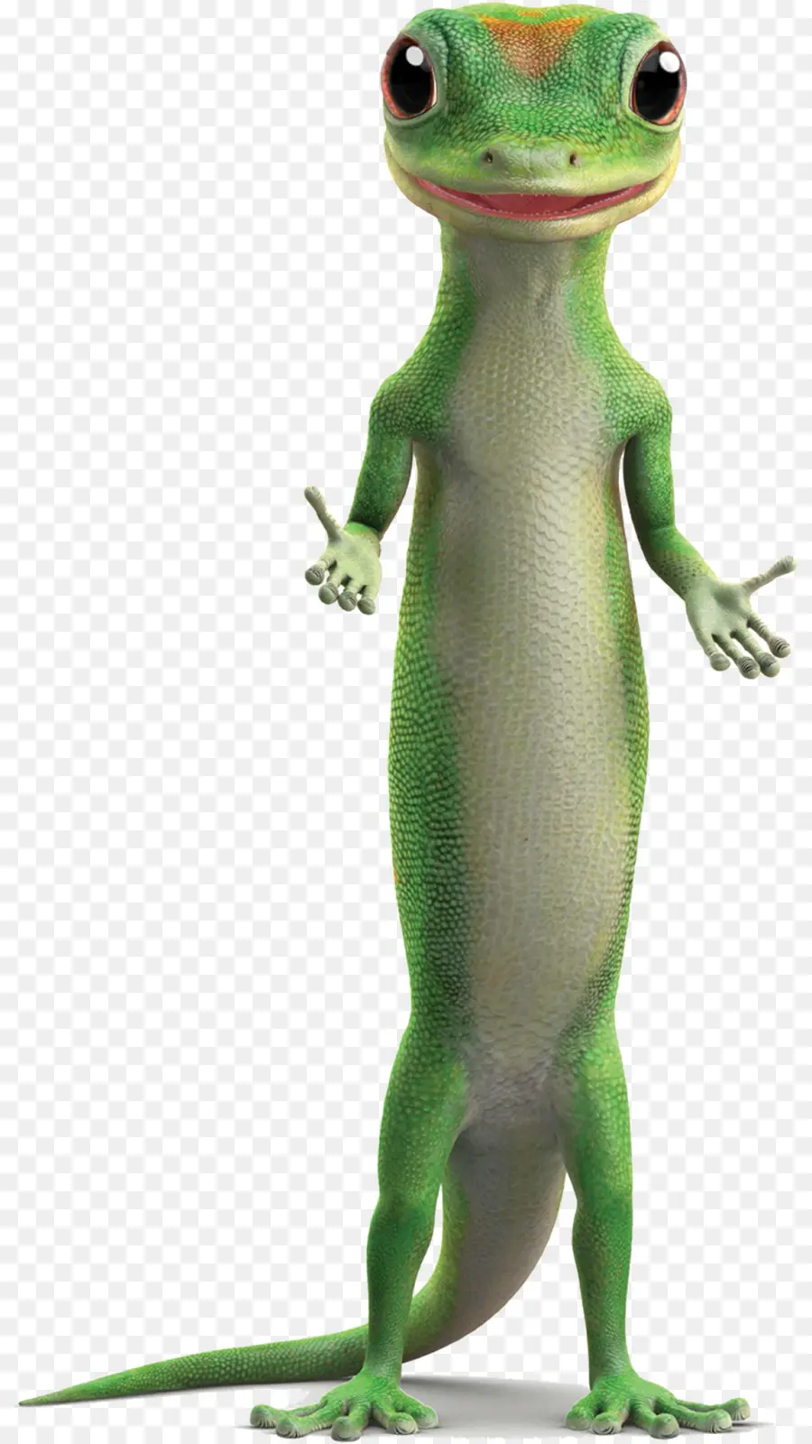 Gecko，Lézard PNG