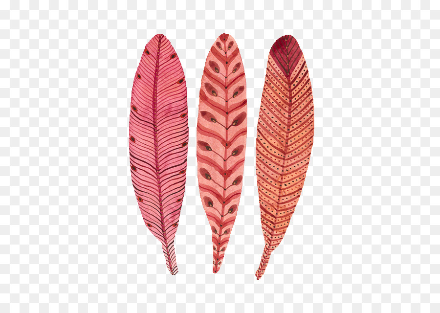 Plumes Décoratives，À Motifs PNG