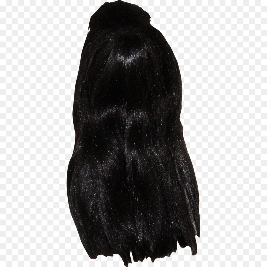 Fourrure，Les Cheveux Noirs PNG