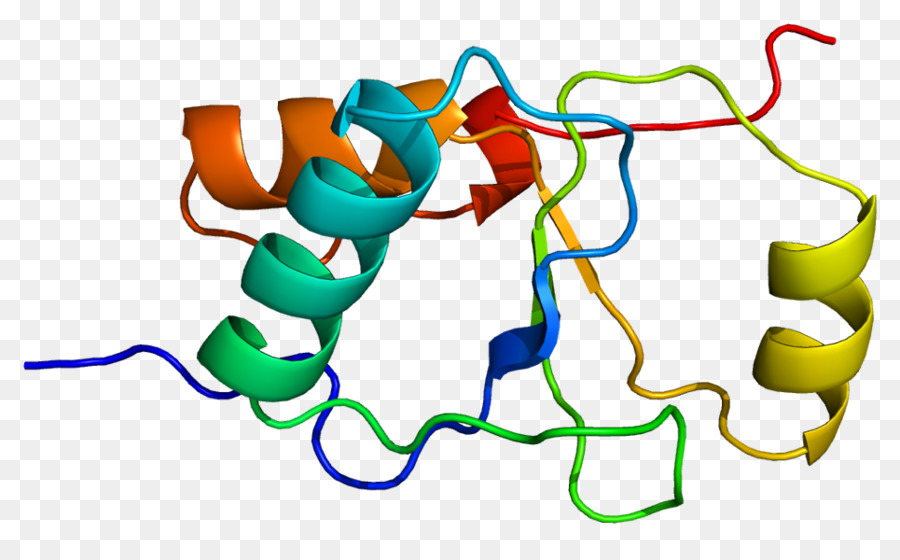 Hélice Protéique，Molécule PNG