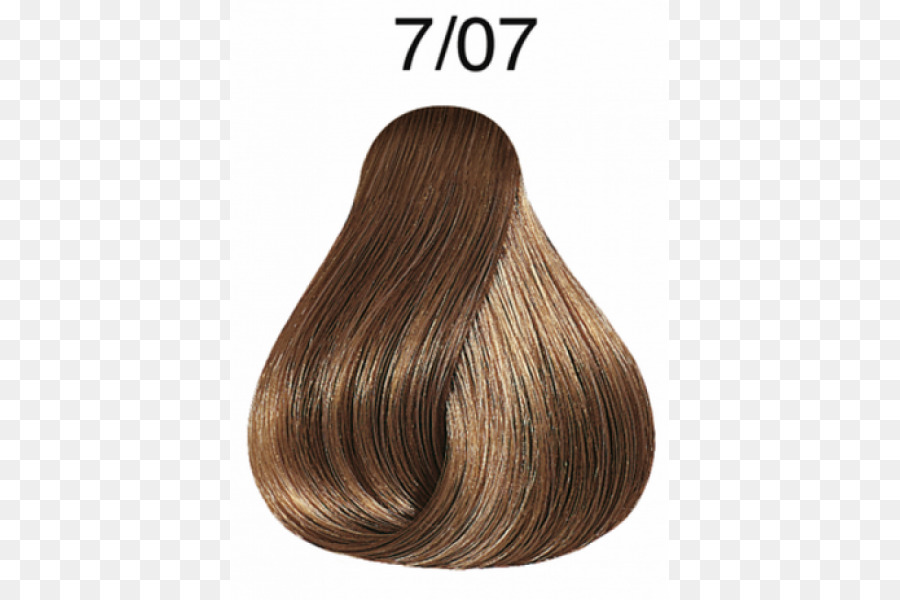 Échantillon De Couleur De Cheveux，Cheveux PNG