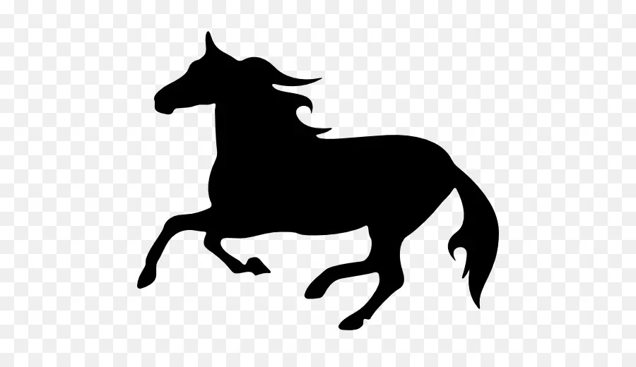 Cheval，Silhouette PNG