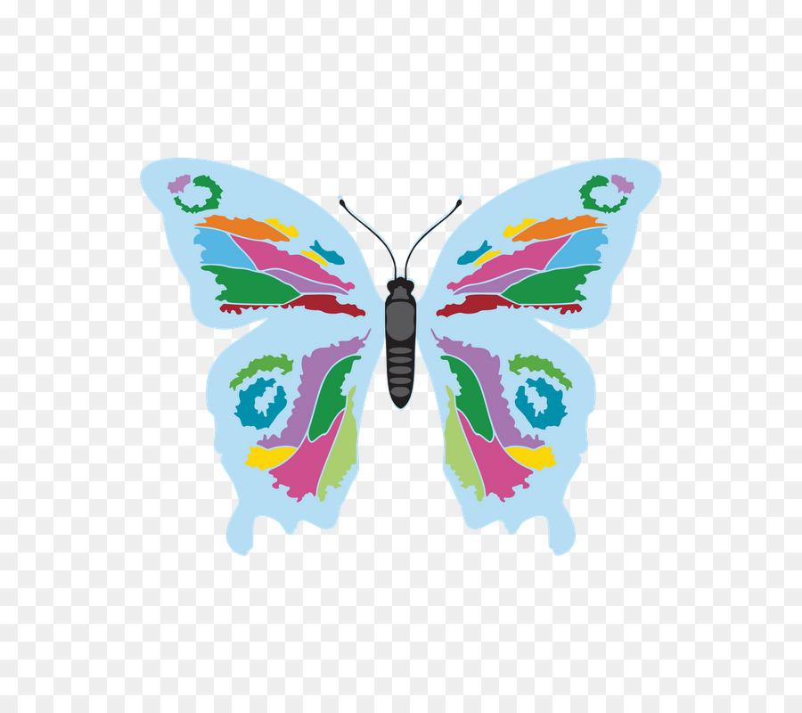 Papillon Coloré，Insecte PNG