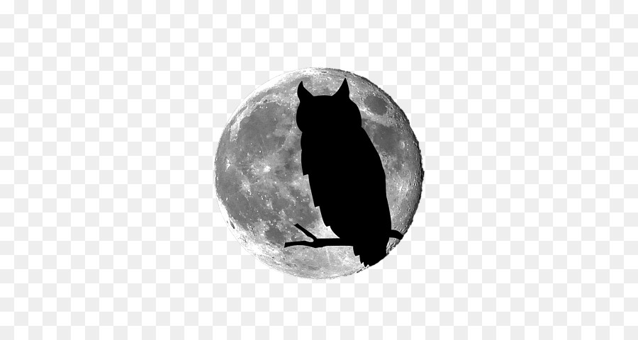 Silhouette De Hibou，Lune PNG