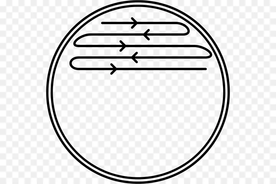 Cercle，Lignes PNG