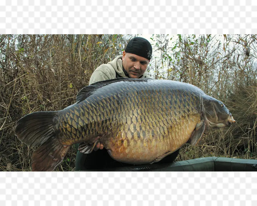 Gros Poisson，Pêcheur PNG