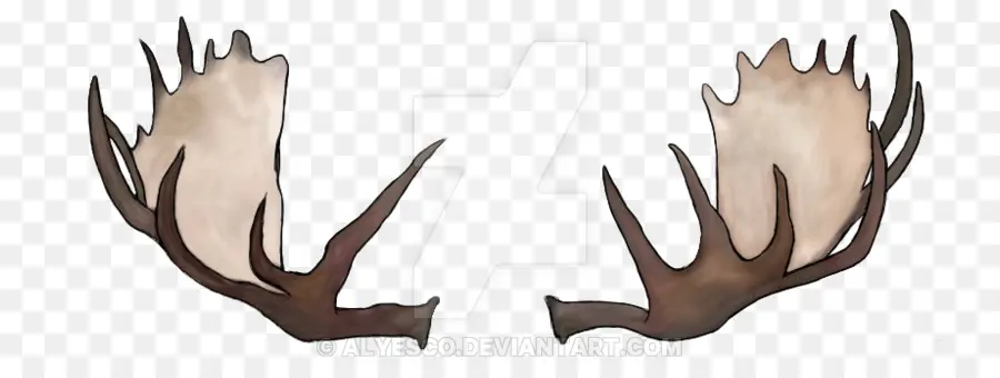 Bois，Cerf PNG