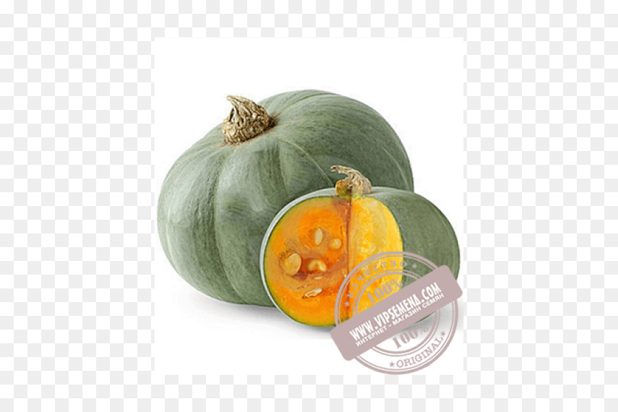 Calabaza，Cucurbita Maxima PNG