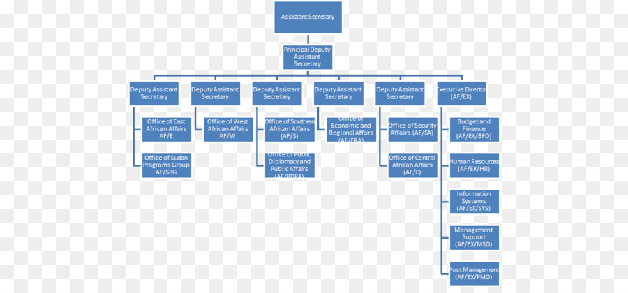 Organigramme，Hiérarchie PNG