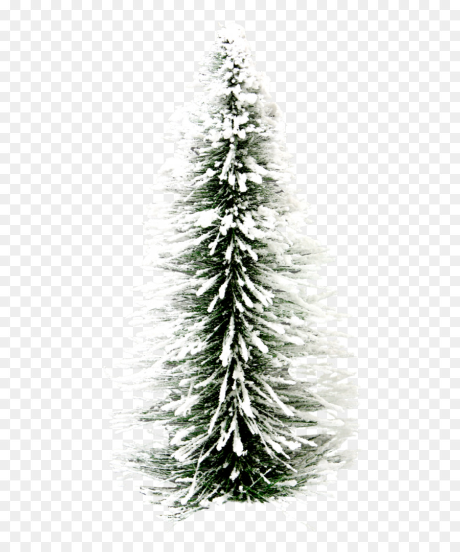 Arbre De Noël，Neige PNG