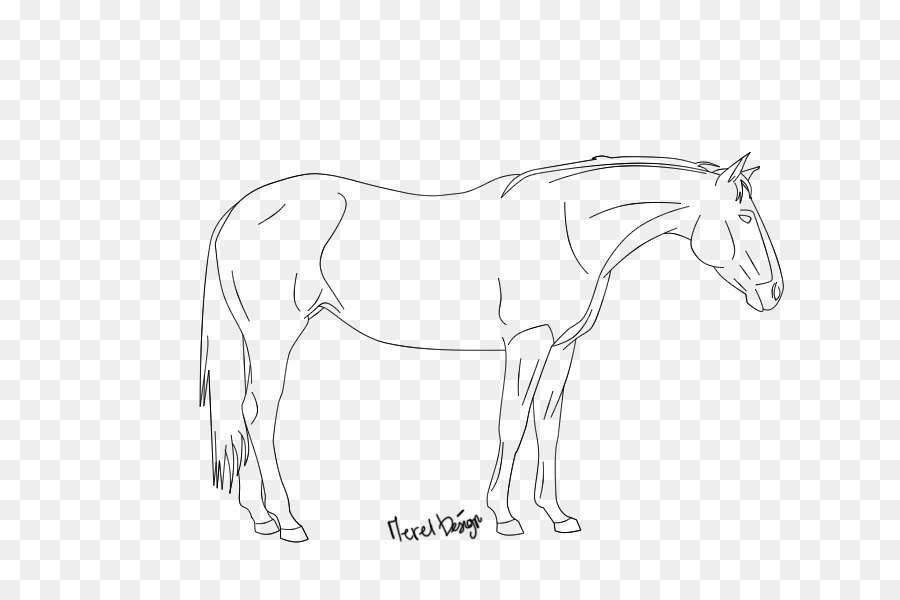 Dessin De Cheval，Animal PNG