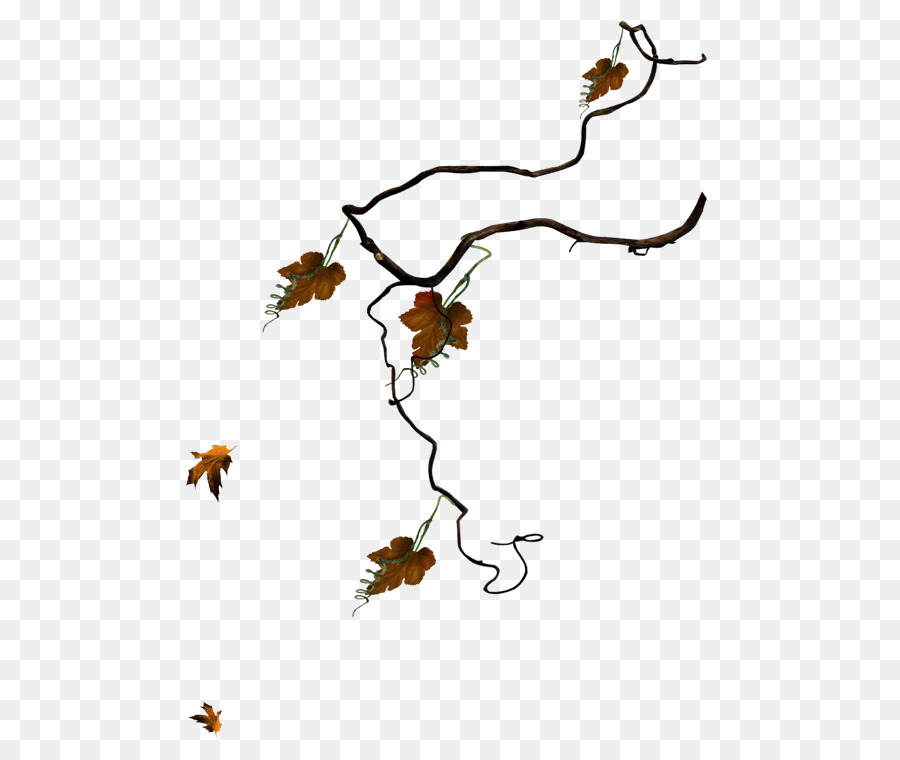 Branche D'automne，Feuilles PNG