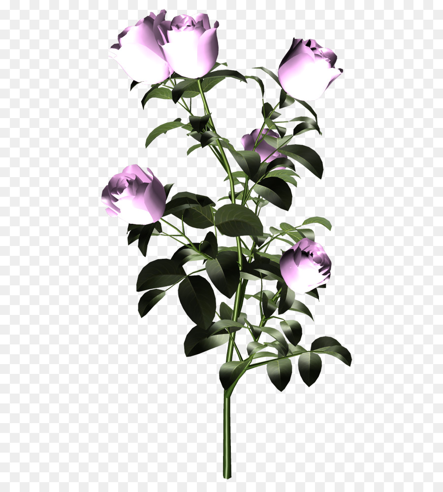 Rose Pourpre，Tige PNG